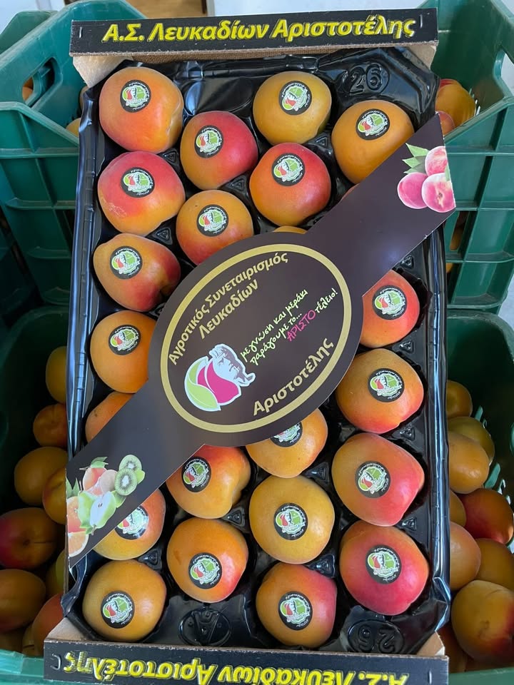 Βερίκοκα σε premium box με Aristotelis sticker