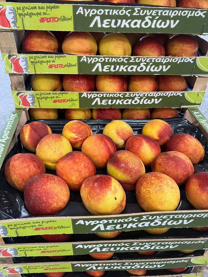Νεκταρίνια Λευκαδίων