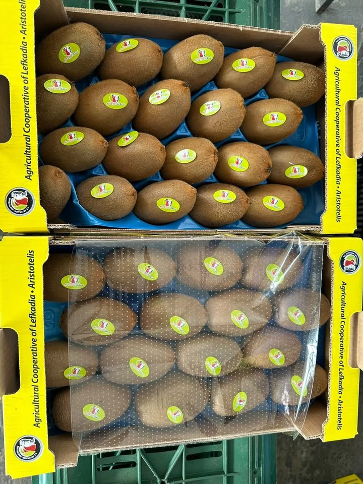 Καλλιέργεια ακτινιδίων