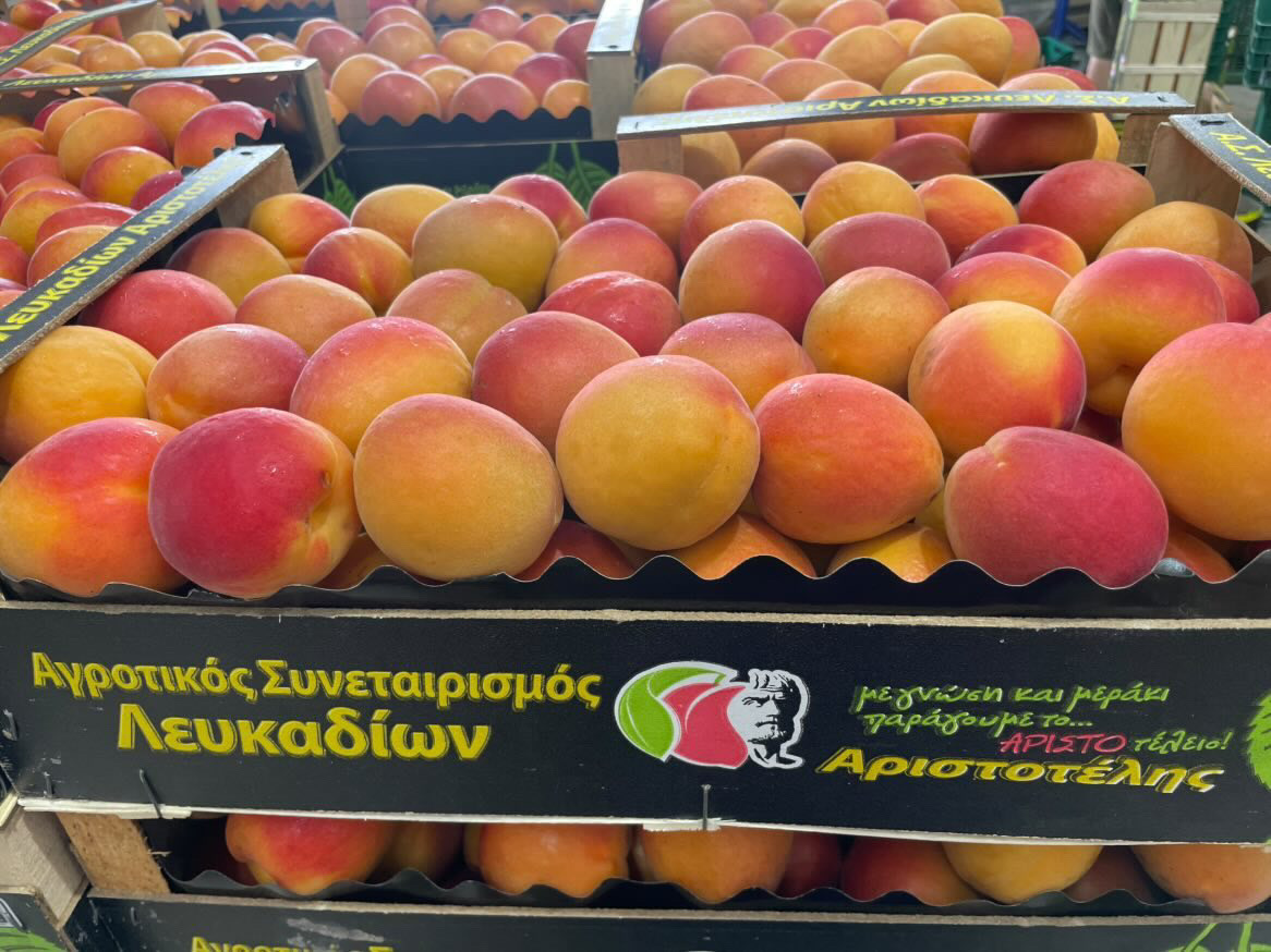 Βερίκοκα Λευκαδίων